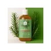 Shampoo Capilar De Romero Antioxidantes 500ml