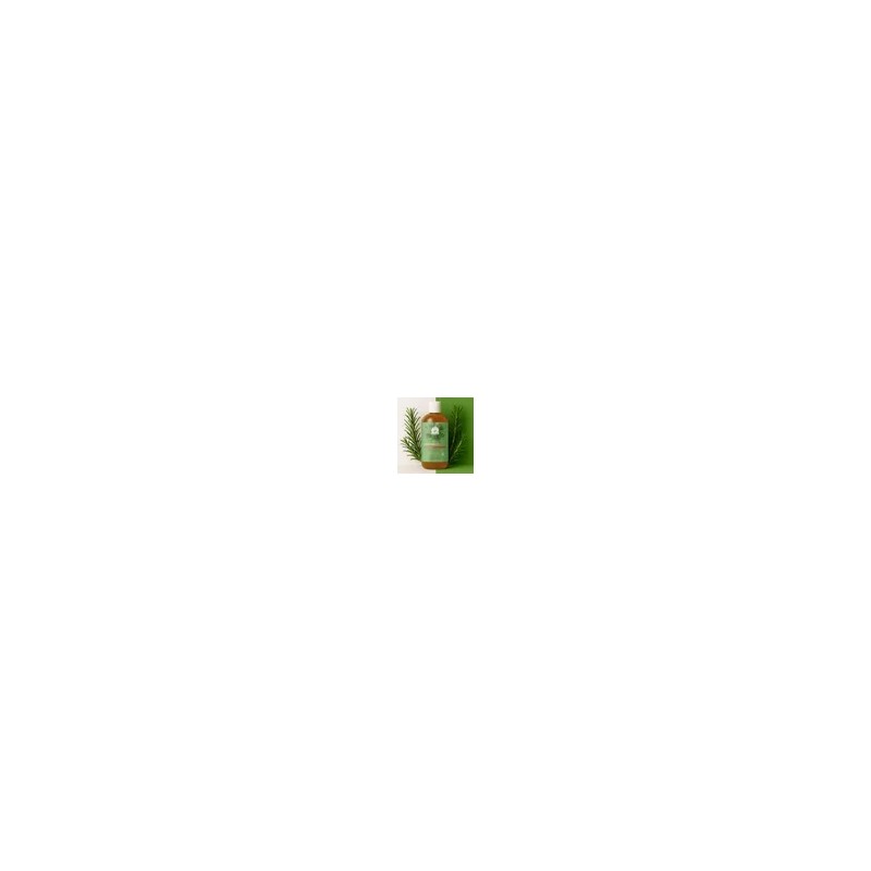 Shampoo Capilar De Romero Antioxidantes 500ml