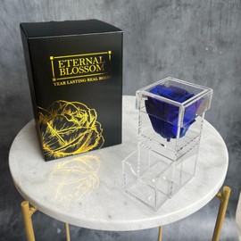Eternal Blossom Preserved Real Infinity Rose Makeup Box | Lasts Over A Year With Beautiful Gift Box (Royal Blue)