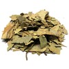 Hojas de Mango Leaves Herbal Tea (35g) Zip-lock bag