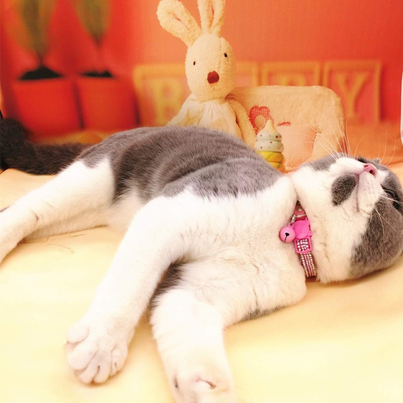 THAIN Basic Adjustable Cat Collar Bling Diamond Breakaway with Bell