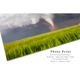 Storm Photography Print (Not Framed) Picture of Tornado Spinning Up Dust Over Wheat Field on Spring Day in Texas Thunderstorm Wall Art Nature Decor (4" x 6")