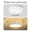 Rattan Ceiling Light Fixture, HWH 16'' Boho Flush Mount Ceiling