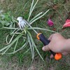 Weed Puller Tool,Portable Garden Weeder Tool,2024 New Manganese Steel Weeding