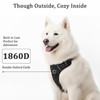 Light Up Dog Harness for Medium/Large Dogs