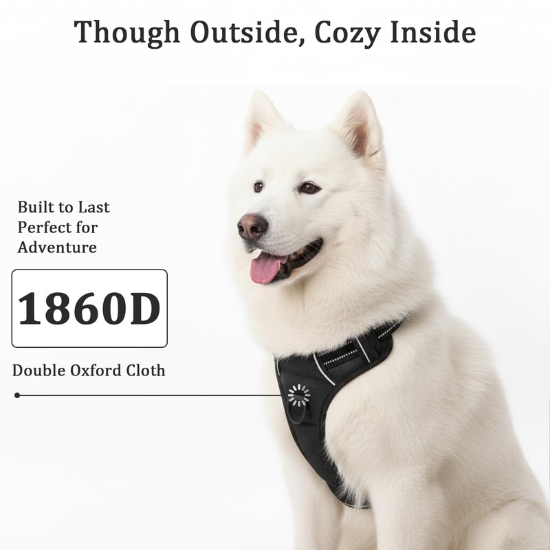 Light Up Dog Harness for Medium/Large Dogs
