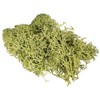 Ideen mit Herz Iceland Moss, Forest Green, Decorative Moss, Natural