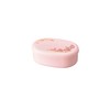 Tatsumiya Sakura Small Single Tier Bento PK Size (W x