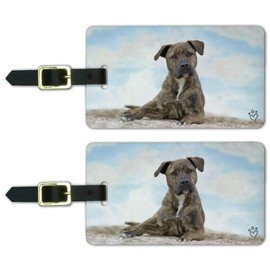 Staffy Staffordshire Bull Terrier Beach Luggage ID Tags Cards Set of 2