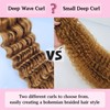Honey Blonde Pre Stretched Braiding Hair Curly Deep Wave Boho