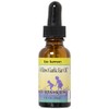 Willow/Garlic Oil Herbs For Kids 1 oz Liquid