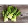 KIRA SEEDS - Seeds Chinese Cabbage Bok Choy - Heirloom