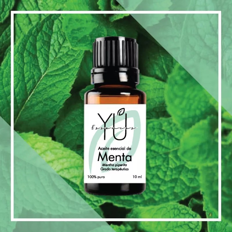 yuessences Aceite Esencial De Menta