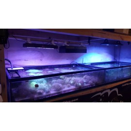 NICREW HyperReef 150 Light Shade