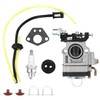 QWORK® Carburetor set for 52cc, 49cc, 43cc brush cutter engine,