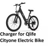 coming data power supply battery Charger for Qlife Cityone Electric