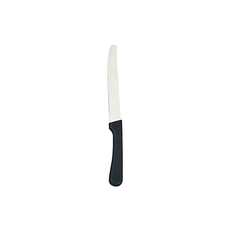 Round Tip Steak Knife with Plastic Handle, 5 Inch Blade