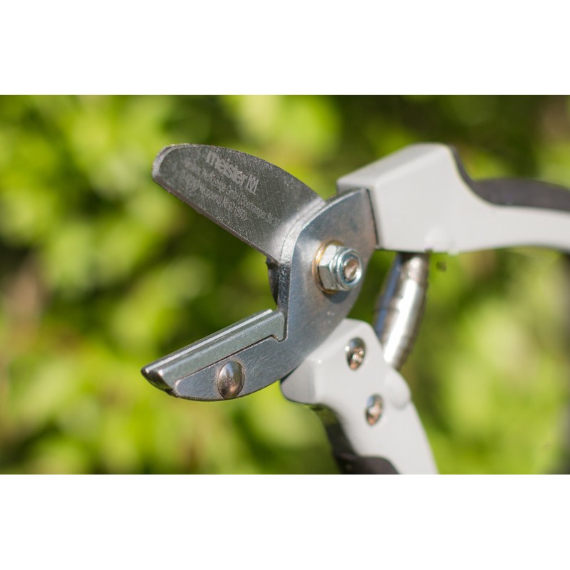 Meister 9718900 Anvil-Pattern Secateurs