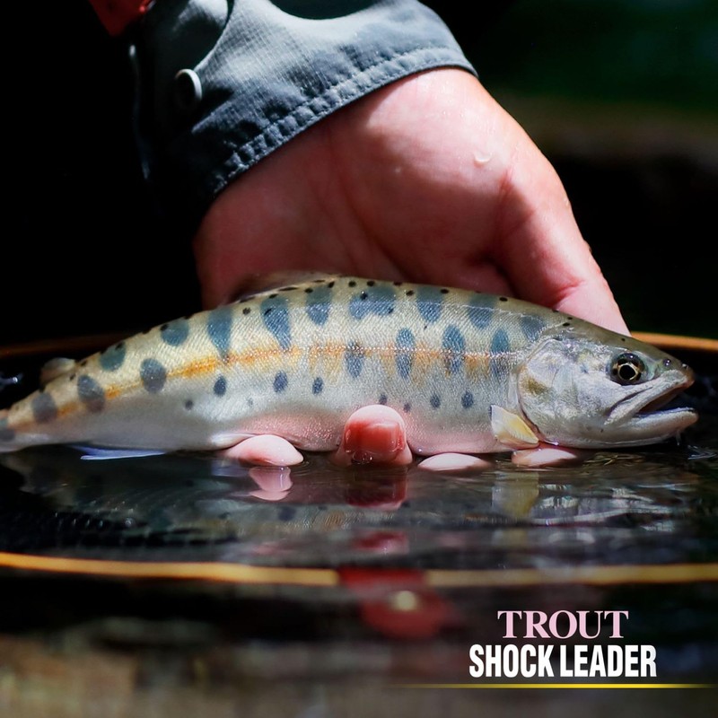 VARIVAS Trout Shock Leader Fluorocarbon 98.4 ft (30 m) No.