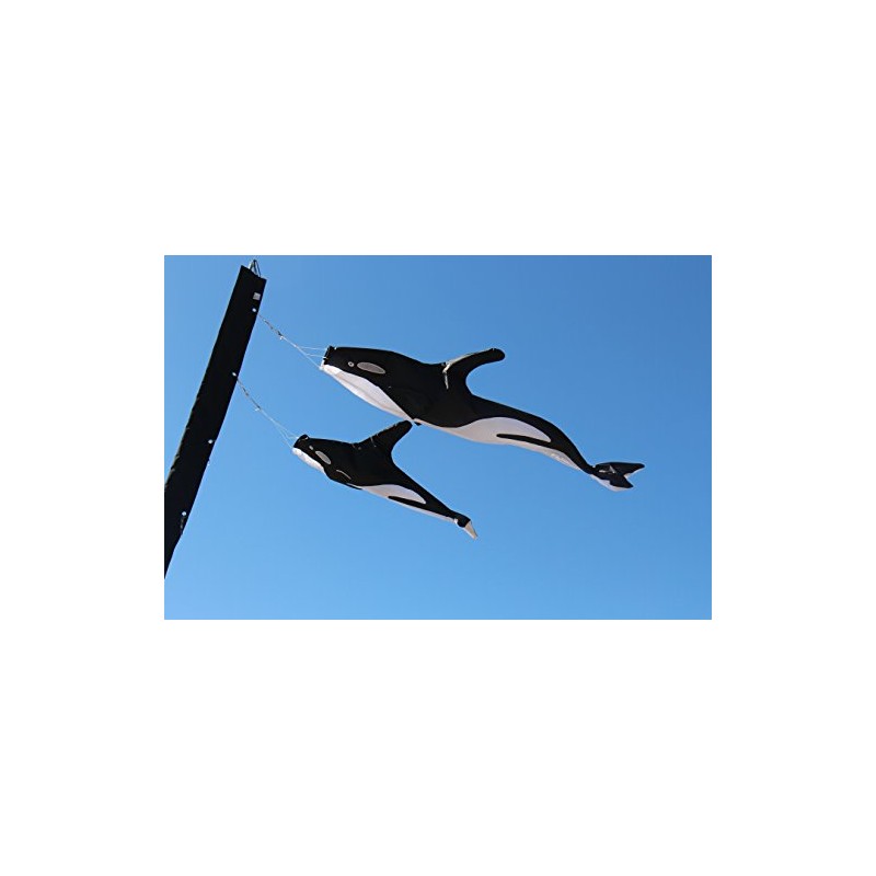 In the Breeze Orca 3D Windsock, 54"