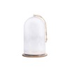 13cm Tall Plastic Bell Jar Cloche with Jute Cord for