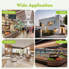 Electric Pea Sheller Machine, Stainless Steel Home Pea Peeling Machine, 100-240V 50-60Hz Semi Automatic Bean Pea Sheller for Peas Soy Beans 100rpm Silver