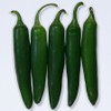 Park Seed Variety of Hot Chili Pepper Plant Seeds, Easy