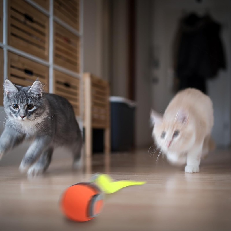 Speedy Tail 2.0,Speedy Tail Cat Toy,USB Rechargeable Smart Cat Toy