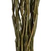 Vickerman 35-40" Basil Moneta Branches, 8 oz Bundle, Dried