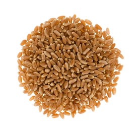 Certified Glyphosate Residue Free | Red Spring Wheat Berries | 36 LBS | Family Farmed in Washington State | 100% Desiccant Free | Sproutable | Non-GMO Project Verified | Kosher | Poly Bag
