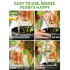 Plant Watering Globes Plastic Set of 4 - Automatic Plant