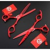 Kit Tijeras Profesionales Estilista Barbero Peluquero Purple Dragon 5.5 pulgadas
