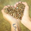 Pack of 12 Temporary Tattoos Snake, Fake Tattoo Stickers, Death