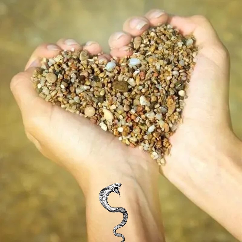 Pack of 12 Temporary Tattoos Snake, Fake Tattoo Stickers, Death