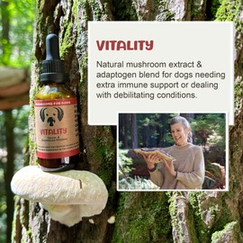 MycoDog Vitality - Mushroom Extract & Adaptogen Tincture - Liver Support for Dogs with Shiitake Mushrooms,Turkey Tail, Chaga, Maitake & Reishi for Canines with Debilitating Conditions