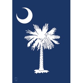 Briarwood Lane South Carolina Palm Tree House Flag