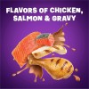 Purina Friskies Dry Cat Food Gravy Swirl'd with Flavors of