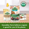 Cascadian Farm Organic Granola, Dark Chocolate Almond Cereal, Resealable Pouch,