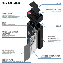 Raion Power 6V 4.5Ah Compatible Battery for Super Lucky Duck Hen