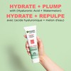 Garnier SkinActive Green Labs Hyalu-Melon Smoothing Milky Washable Cleanser with