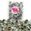 Smarty Stop Original Individually Wrapped Starlight Mint Hard Candy (2.5