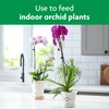 Miracle-Gro Ready-To-Use Orchid Plant Food Mist, 8 oz., Orchid Food