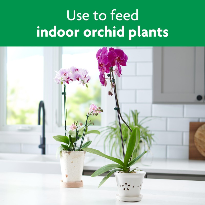 Miracle-Gro Ready-To-Use Orchid Plant Food Mist, 8 oz., Orchid Food