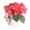 Red Geranium Barrel Wreath Front Door Red Geranium Basket Wreath