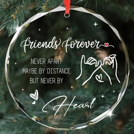Friend Christmas Ornament 2024, Unique Christmas Ornament for Christmas Tree Decorations 2024, Crystal Friendship Gift for Friend, BFF, Soul Sister (Friends)