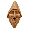 Red Carpet Studios Outdoor Tree Face Birdhouse, 13.5", Harry