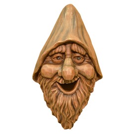 Red Carpet Studios Outdoor Tree Face Birdhouse, 13.5", Harry