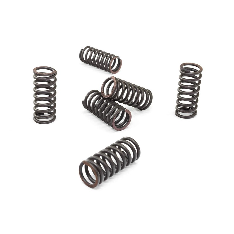 EBC Clutch Spring Kit CSK029