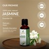 Sheer Essence Jasmine Oil -(Jasminum Grandiflorum)- Essential Oil 100% Pure