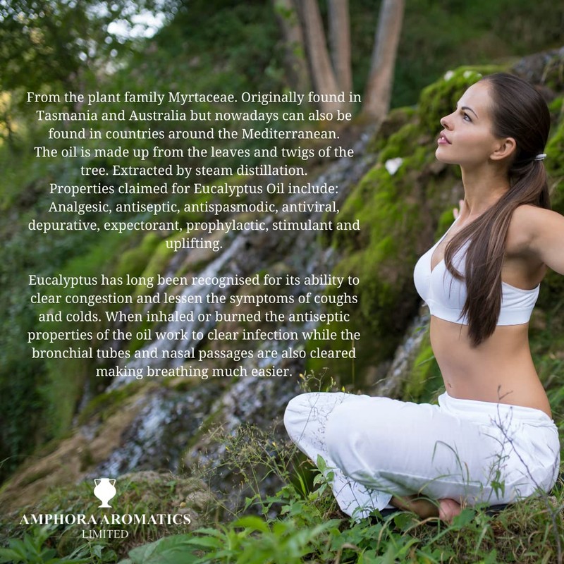 Amphora Aromatics Eucalyptus Essential Oil 10ml